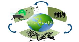 Environmental Health and Infectious Diseases Training course