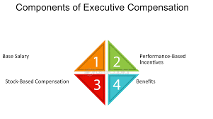 Training Course on Executive Compensation and Performance Linkage