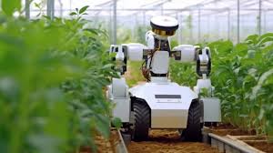 Training Course on Farm Automation and Robotics for Modern Agricultural Operations