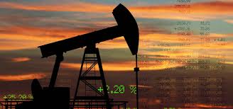 Training Course on Financial Modelling and Petroleum Project Economics