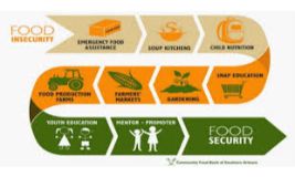 Training Course on Food Security Analysis