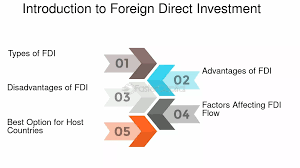 Training Course on Foreign Direct Investment Strategies and Country Risk Analysis