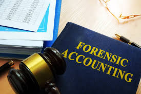 Training course on Forensic Accounting for Legal Professionals