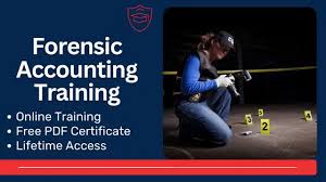 Training Course on Forensic Accounting in the Public Sector