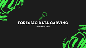Forensic Imaging and Data Carving Techniques Training Course