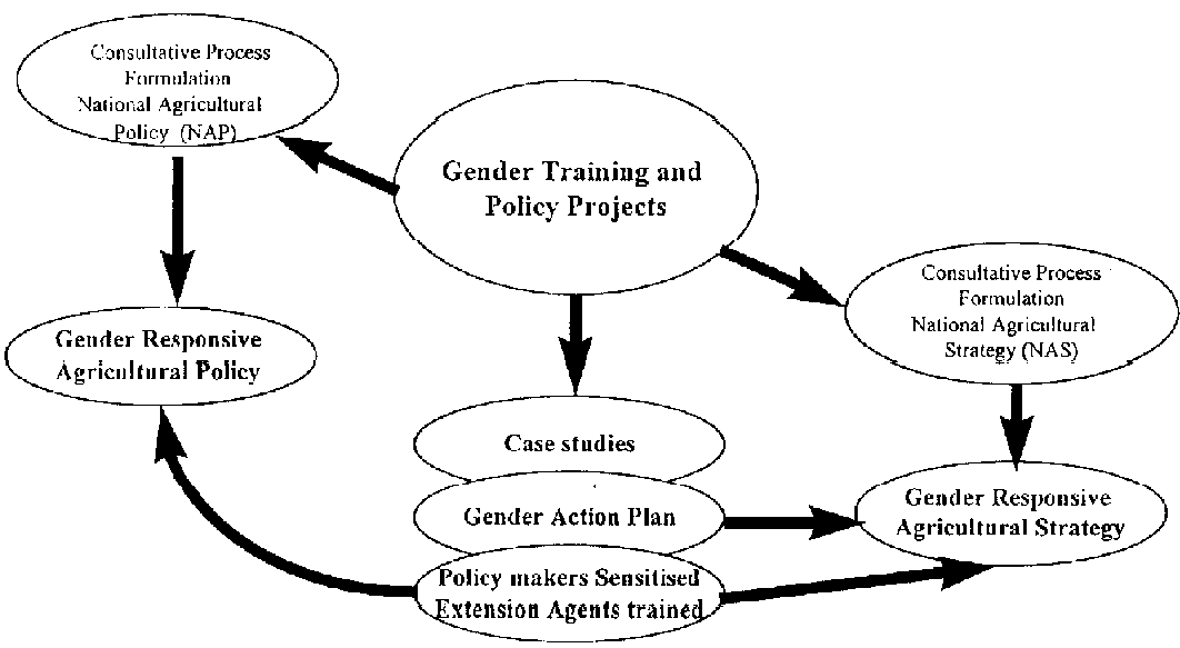 Training Course on Gender Approaches to Agricultural Extension