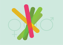 Training course on Gender Audit