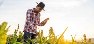 Training Course on Global Agribusiness Trends and Emerging Markets Analysis