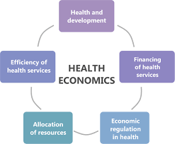 Training course  on Health Economics for Development: Analyzing Health Systems and Outcomes in Developing Countries