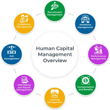 Training Course on Human Capital Risk Management for Directors