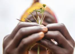 Training course on Humanitarian-Development-Peace Nexus in Practice (Social Protection Focus)