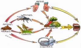 Training Course on Improving Health and Nutrition