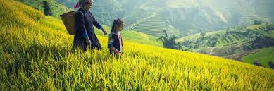 Insurance Product Development and Innovation Training