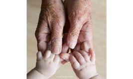 Training Course on Leveraging the Generation Gap