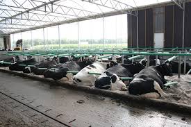 Training Course on Livestock Housing Design and Environmental Control