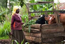 Training Course on Livestock Waste Management and Manure-to-Energy Systems