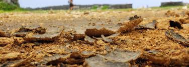 Training Course on Managing Salinity and Sodicity in Arid and Semi-Arid Agriculture