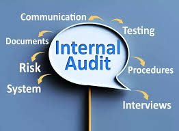 Training Course on Managing the Internal Audit Function