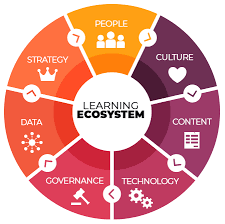 Training Course on Managing Workforce Ecosystems