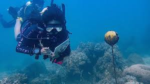 Training Course on Marine Conservation