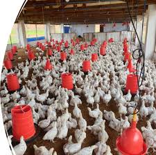 Training Course on Modern Poultry Production and Biosecurity Management