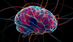 Brain and Behavior Neurocriminology Training Course