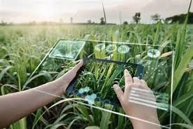 Training Course on Next-Generation Weather Forecasting for Precision Farming