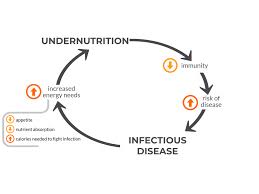 Training course  on Nutritional Aspects of Infectious Diseases