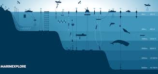 Training Course on Ocean Data