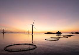 Training Course on Ocean Innovation