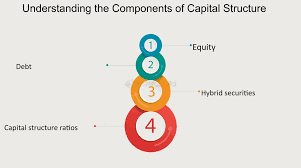 Training Course on Optimizing Capital Structure and Shareholder Value