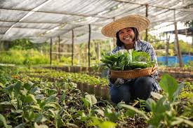 Training Course on Organic Crop Production: Advanced Certification and Compliance