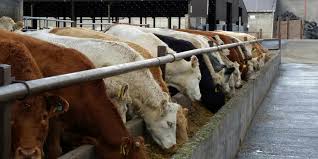 Training Course on Parasite Control Strategies in Livestock