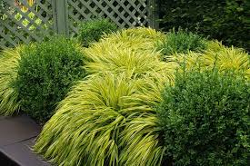 Training Course on Plant Growth Regulators and Their Application