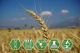 Training Course on Policy Frameworks and Incentives for Sustainable Agriculture