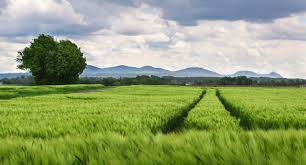 Training Course on Post-Harvest Physiology and Shelf-Life Extension of Crops