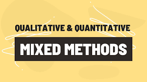 Training course on Qualitative and Mixed-Methods Approaches in Social Protection Evaluation