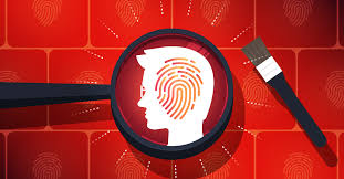 Qualitative Research Methods in Criminology (Advanced) Training Course