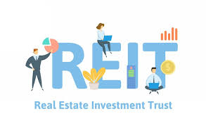 Training course on Real Estate Investment Trusts (REITs) and Public Markets