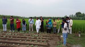Training Course on Recycled Wastewater Use in Agriculture: Risks and Best Practices