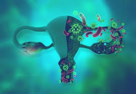 Training course  on Reproductive Health and Infectious Diseases