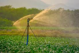 Training Course on Smart Water Management and Remote Sensing for Irrigation Scheduling