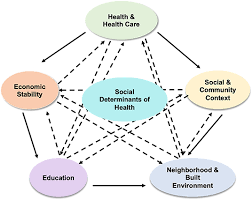 Training course  on Social and Behavioral Determinants of Infectious Diseases