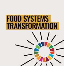 Training course on Social Protection and Food Systems Transformation
