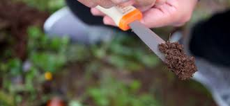 Training Course on Soil Testing and Interpretation for Crop-Specific Recommendations