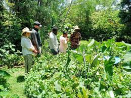 Training Course on Sustainable Agroforestry and Permaculture Design