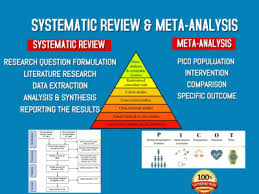 Training Course on Systematic Review and Meta-Analysis Support