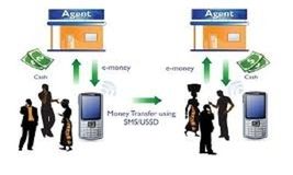 Training Course on the Impact of Mobile Money transfer on financial Inclusion