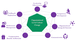 Training Course on Transforming Organizational Culture