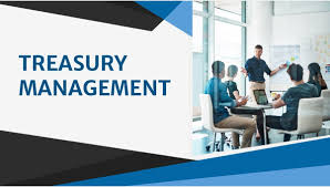 Training Course on Treasury Management and Global Liquidity